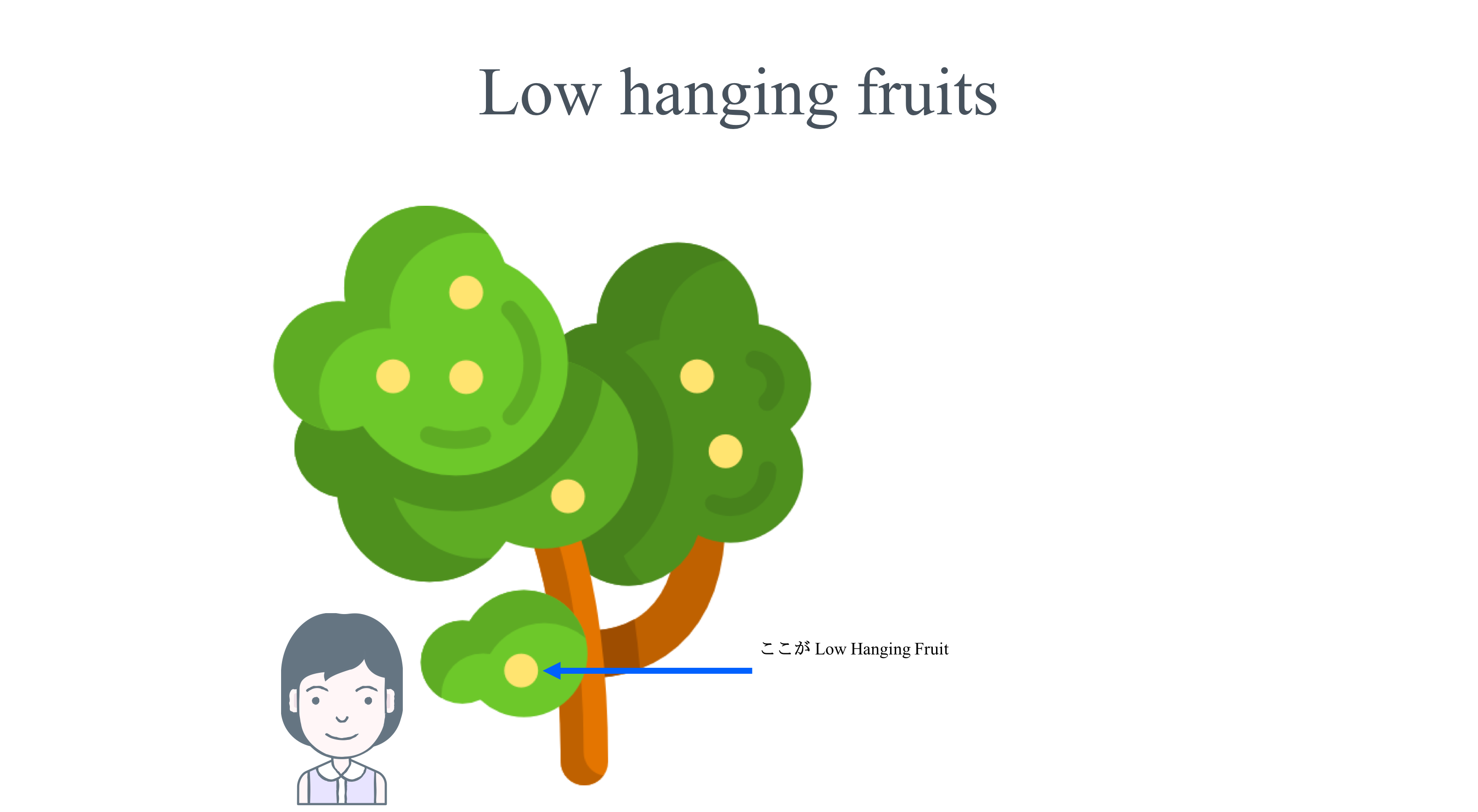 lowhangingfruit